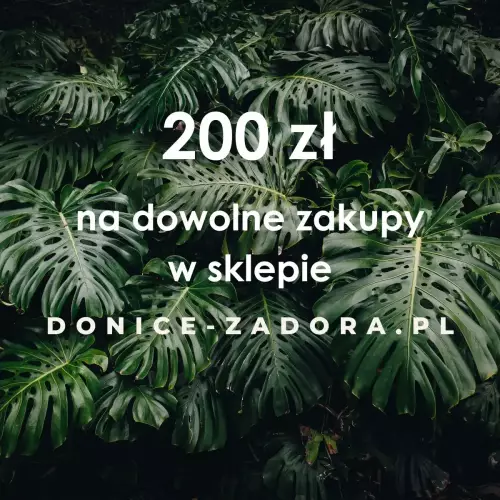 Karta podarunkowa DONICE-ZADORA.PL - 200 zł